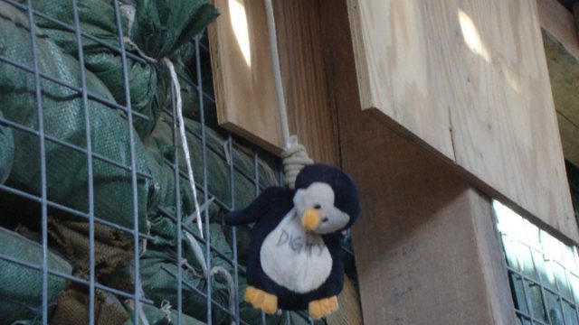 a-penguin-hanging-from-a-noose